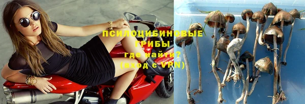 эйфоретик Нефтегорск